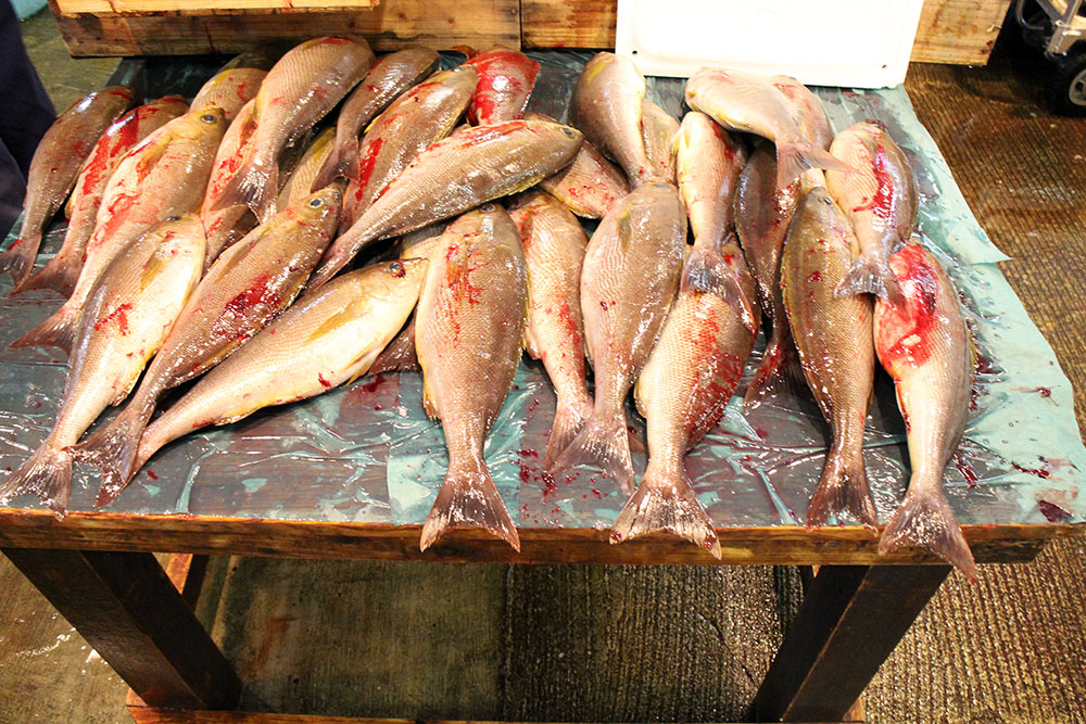 Nagahama Chuo Fischmarkt