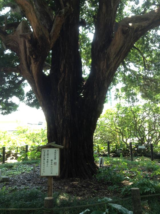 Kamakura – Das Grab von Akira Kurosawa